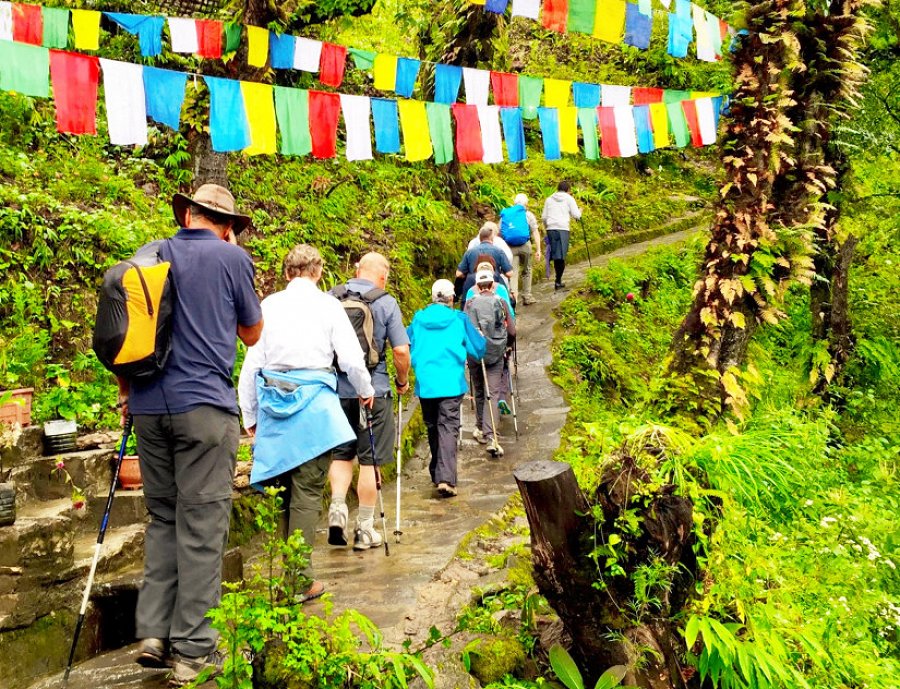 www-bhutanmindvacation-com